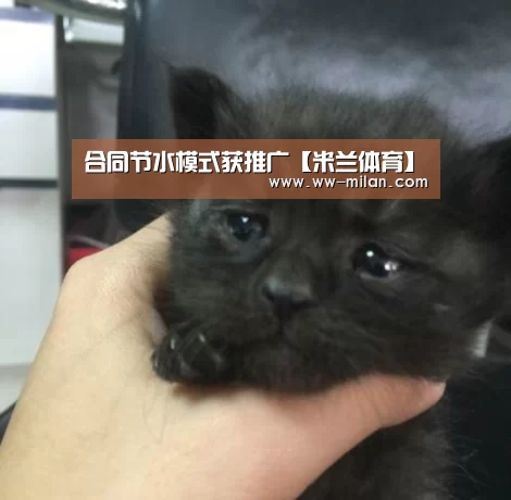 合同节水模式获推广【米兰体育】(图2)
